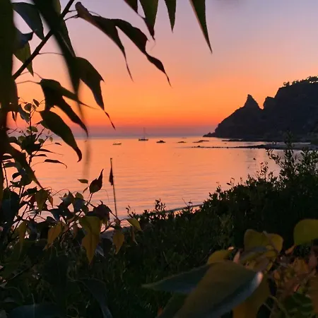 Rosy Capo Vaticano