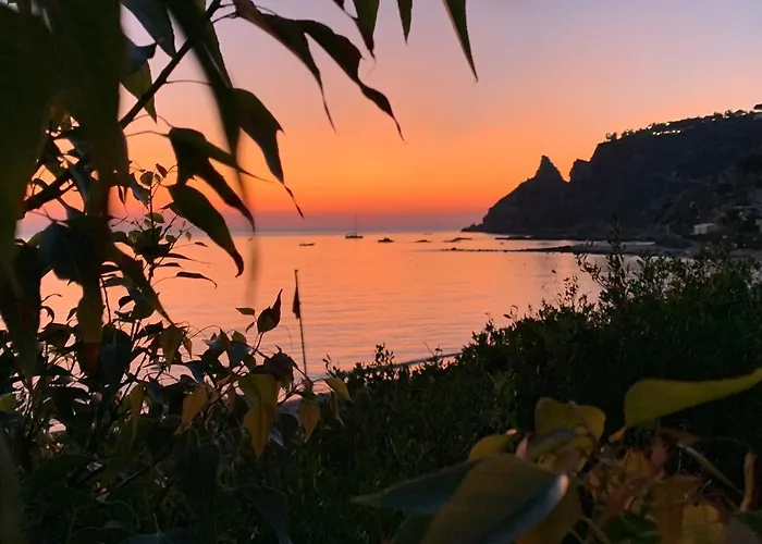 Rosy カーポ・ヴァチカーノ