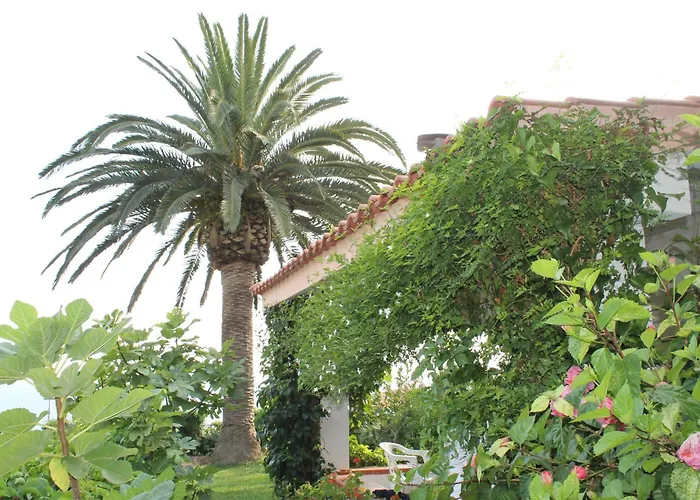 Lägenhetshotell Rosy 4*